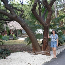 Key Largo,Gumbo Limbo,Jackie